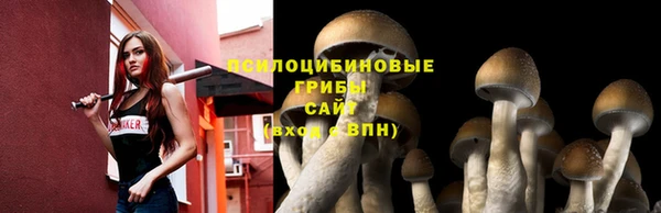 дурь Аркадак