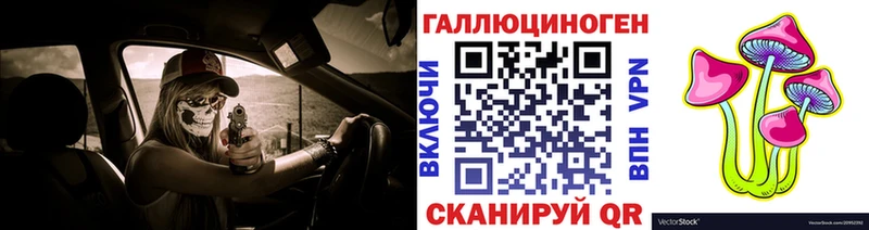 сколько стоит  Пересвет  Псилоцибиновые грибы MAGIC MUSHROOMS 