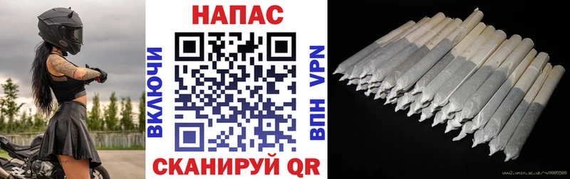 где купить наркотик  Пересвет  Шишки марихуана ГИДРОПОН 